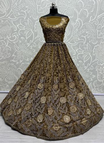 Adorable Gold Net Embroidered Lehenga Choli